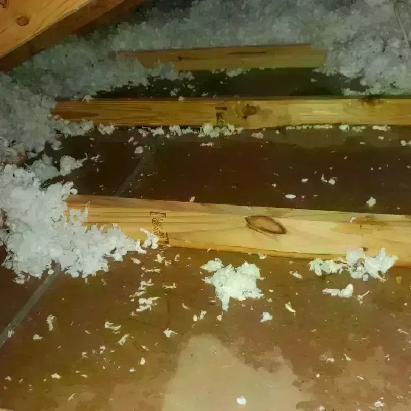 Attic Water Damage in West Falls Church, VA