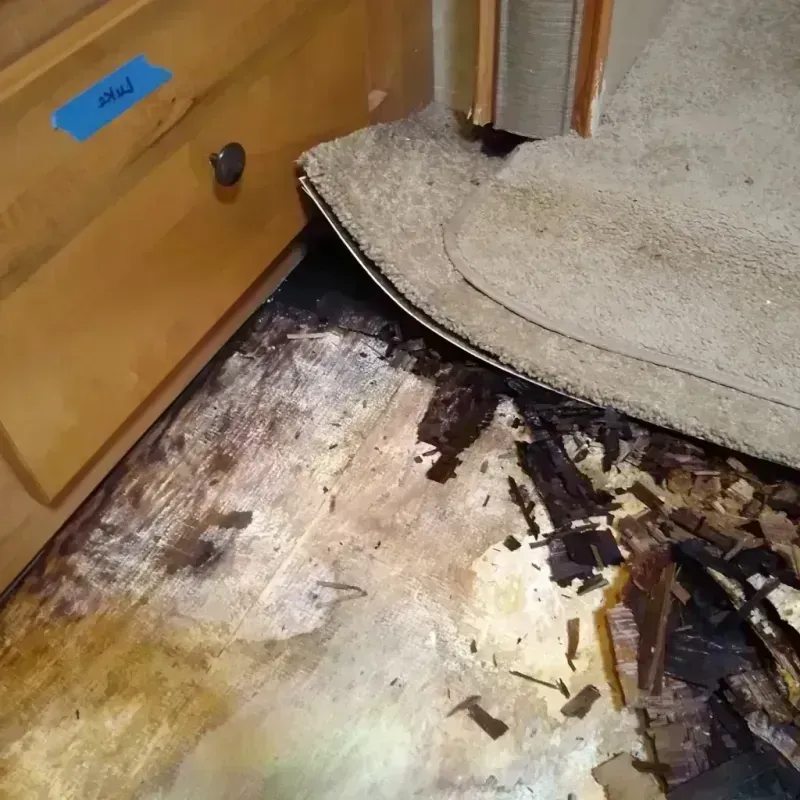 Wood Floor Water Damage in West Falls Church, VA